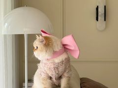 -爱侣宠医·鹦鹉专科·小型哺乳类·异宠专科(灵石路店)