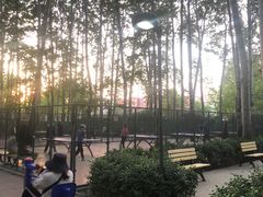 -仁和公园(顺义区)