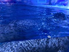 -秦皇岛新澳海底世界