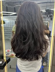 -Hair Code芭曲发型