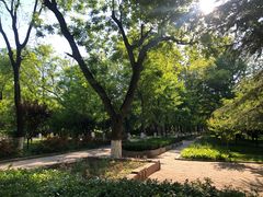 -山东大学(趵突泉校区)
