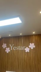 -Yestar宁波艺星整形医院
