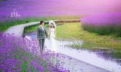 点击看大图 -青禾蒙娜丽莎婚纱摄影(武汉总店)