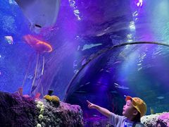 -沈阳海洋探索中心