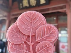 -香山公园