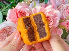 -沁园(南坪上海城店)