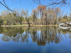 -上海共青森林公园