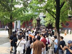 -洛阳白马寺