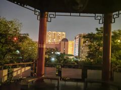 -莲花池公园