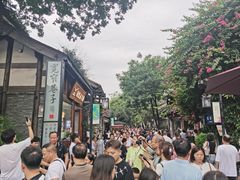 -成都蓝城悦杏温泉美食酒店(宽窄巷子店)