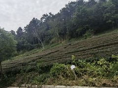 -南京金牛湖风景区