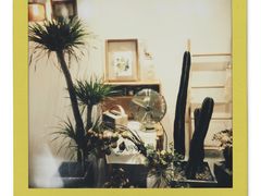 -半勺舒舒生日蛋糕店