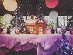 -上海外滩英迪格酒店