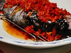 -森谷美食公园(杨行店)
