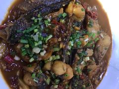 -全乐鱼馆·淳牌有机鱼直营店