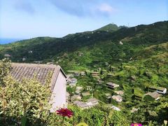 -枸杞岛