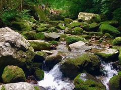 -本溪汤沟绿石谷森林公园