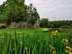 -桤木河湿地公园