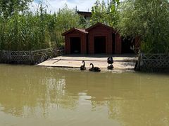 -东平国家森林公园