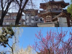 -西安青龙寺遗址景区