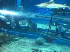 -福州罗源湾海洋世界旅游区