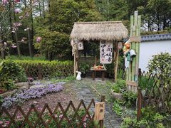 -东平国家森林公园