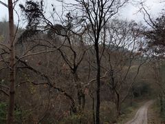 -青龙山国家森林公园