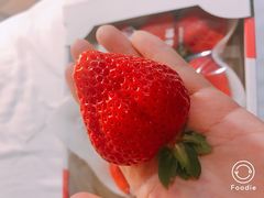 -油麻地果栏