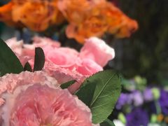 -谷莠子花艺气球派对·绿植造景·花艺沙龙(东海缤纷天地店)