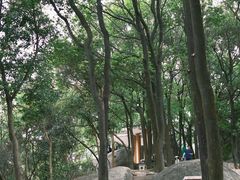 -火炉山森林公园