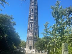 -上海佘山国家森林公园天马山园