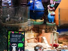 -正佳雨林生态植物园