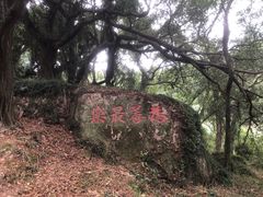 -青芝山风景名胜区