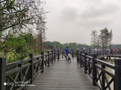 -海珠湖公园