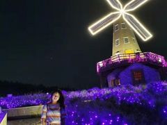 -大塘金香草谷