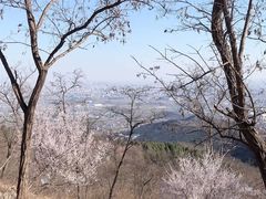 -鬼笑石后山停车场