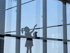 -上海龙之梦万丽酒店