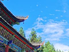 -武陵山森林公园