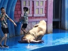 -华夏文旅海洋公园