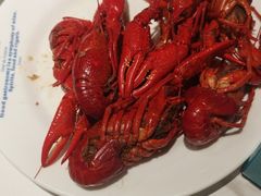 -星伦多 自助料理(圆融店)