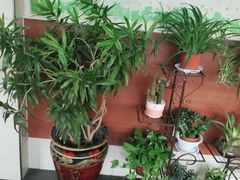 -小六汤包砂煲菜(文景路店)