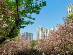 -苏州河梦清园环保主题公园