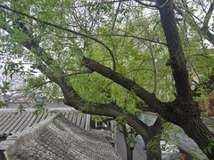 -Santoor 萨都里印度餐厅(北锣鼓巷店)