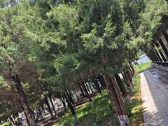 -赵州桥景区