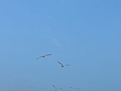 -棒棰岛宾馆景区