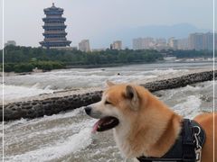 -门城湖公园