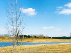 -蒲河岛湿地公园