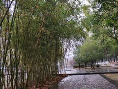 -上海第二工业大学(金海路校区)