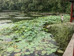 -承德避暑山庄景区