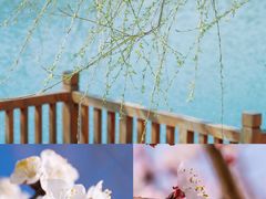 -九如山休闲旅游度假区